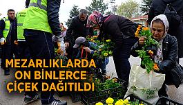 Mezarlıklarda on binlerce çiçek dağıtıldı