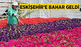 Eskişehir’e bahar geldi