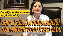 CHP’li Süllü Avrupa Birliği Uyum Komisyonu Üyesi oldu