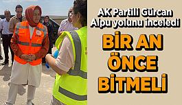 AK Partili Gürcan Alpu yolunu inceledi