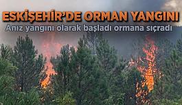 Eskişehir’de orman yangını