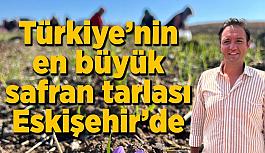 Türkiye’nin en büyük Safran tarlası Eskişehir’de