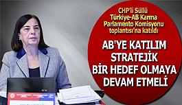 CHP’li Süllü: AB üyeliği dışında ayrı bir gündemi kabul etmiyoruz