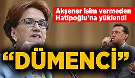 Akşener: İnanıyorum Eskişehir dümenci bir insanı seçmeyecektir