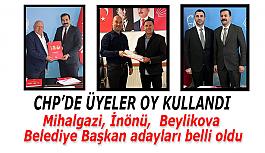 CHP'nin 3 adayını üyeler belirledi