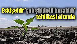 Eskişehir ‘çok şiddetli kuraklık’ tehlikesi altında