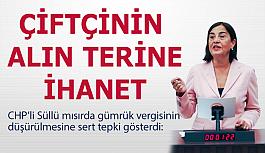 Jale Nur Süllü: Çiftçi can çekişirken, AKP ithalat lobilerine çalışıyor!
