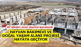 Büyükşehir Belediyesi, sokak hayvanları...